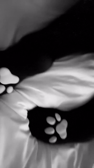 frame 006 delay 0.07s.2