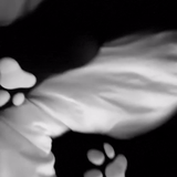 frame 006 delay 0.07s