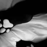 frame 001 delay 0.06s