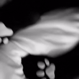 frame 007 delay 0.06s