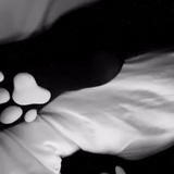 frame 000 delay 0.07s