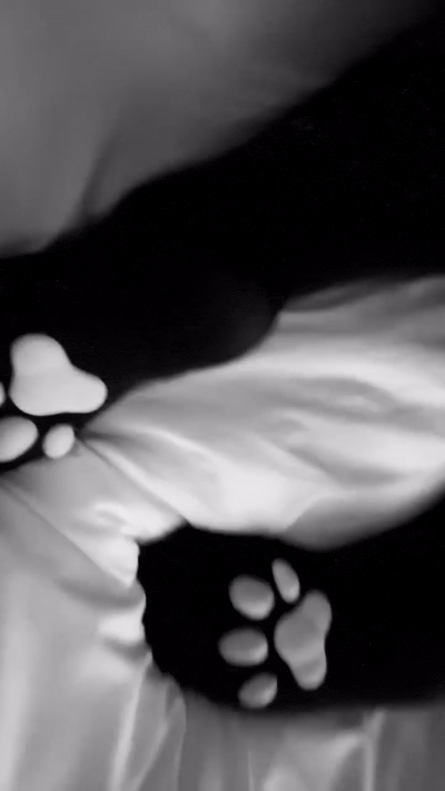 frame 004 delay 0.06s.2
