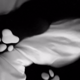 frame 004 delay 0.06s