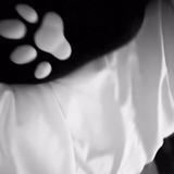 frame 020 delay 0.07s