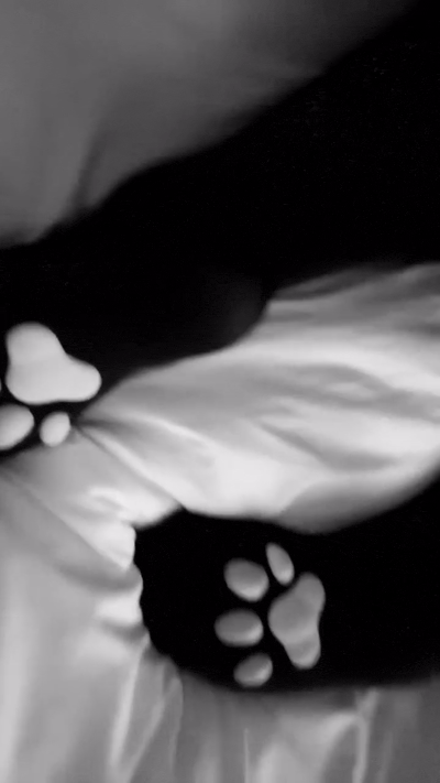 frame 005 delay 0.07s.2