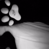 frame 103 delay 0.06s