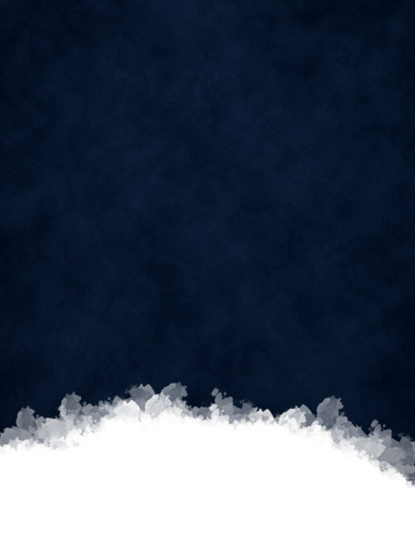12313.png