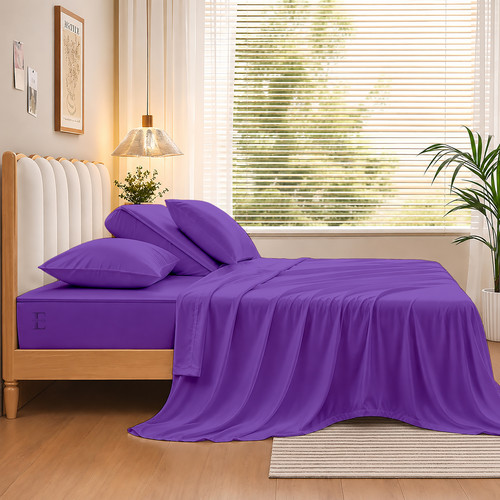 Purple (3).jpg