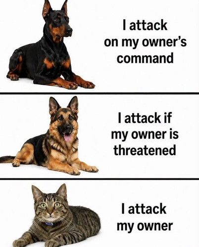HRfJWB2boAAERKj.jpg