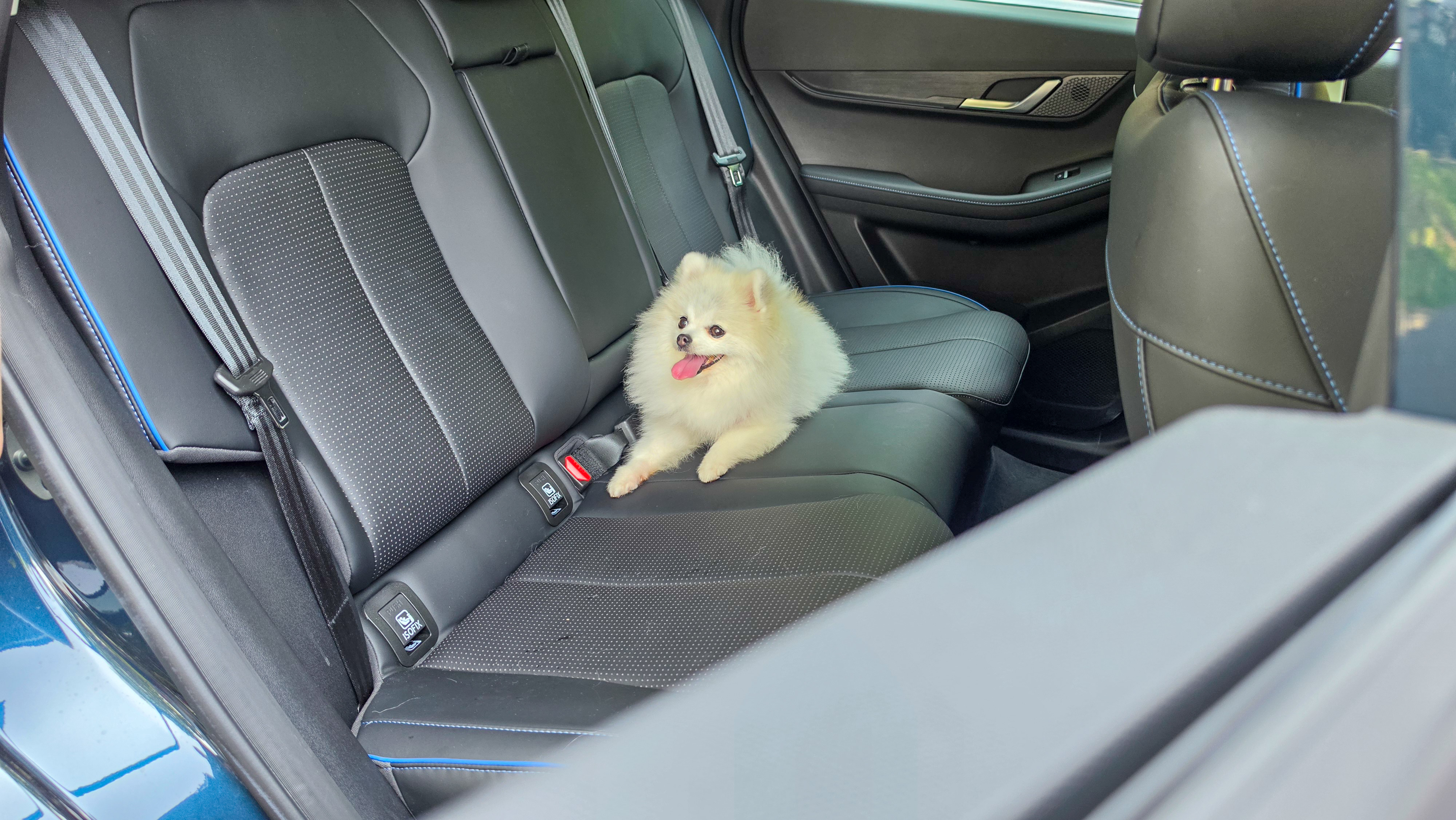 Jaecoo J5_Pet Friendly Seats