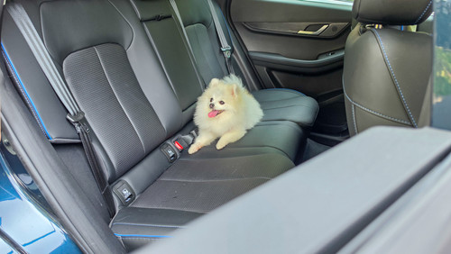 Jaecoo J5_Pet Friendly Seats.jpg