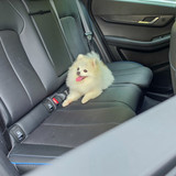 Jaecoo J5_Pet Friendly Seats