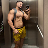 dani 2967
