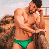dani 1999