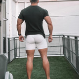 dani 2737