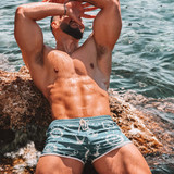 dani 2319