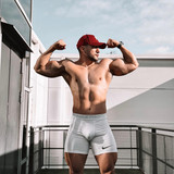 dani 2848