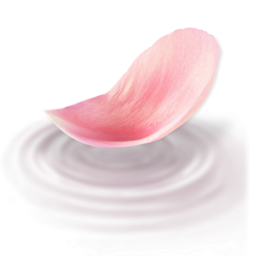 IMG 3144.png
