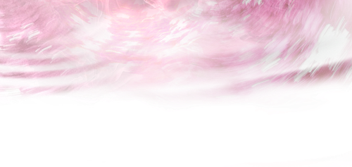 IMG 3145.png
