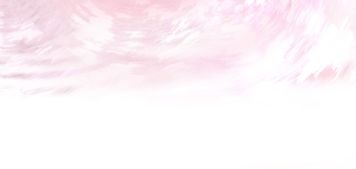 IMG 3147.png