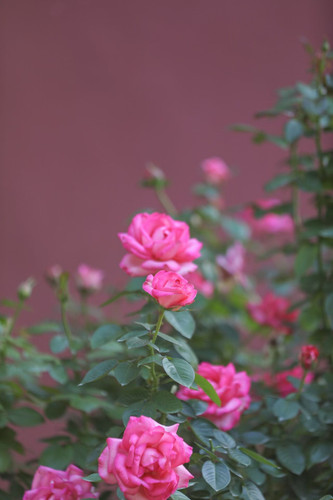 65953416ly1i5rdjt8hvxj20zk1hcdix.jpg