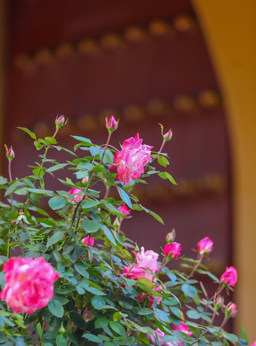65953416ly1i5rdjuq3anj20x618s0x9.jpg