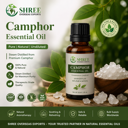 Camphor Essential Oil Manufacturer India Quality, Bulk Supply and Export Guide.png
