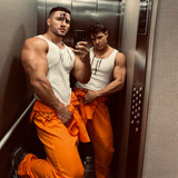 dani 381