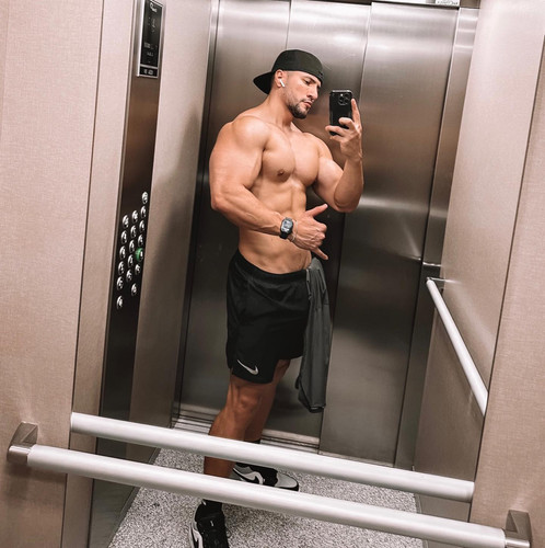 dani 3732