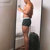 dani 113