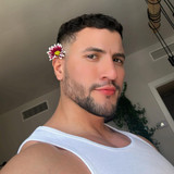 dani 31