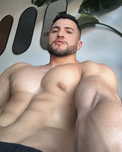 dani 3378