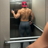 dani 453