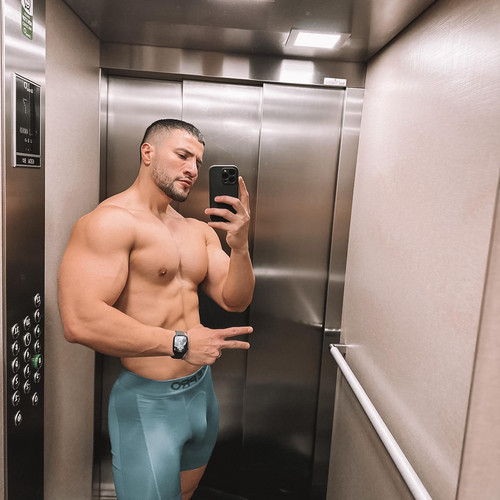 dani 2587