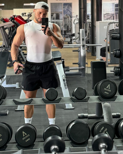 dani 482