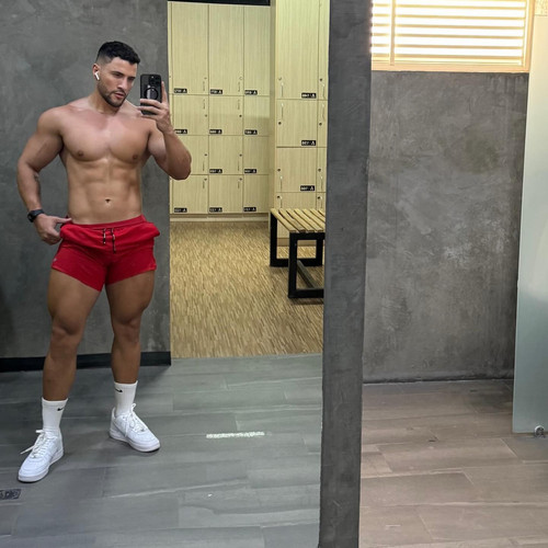 dani 491