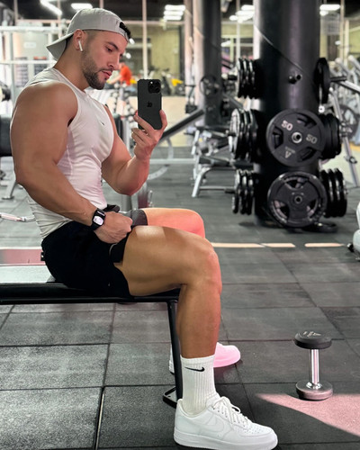 dani 481