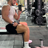 dani 481