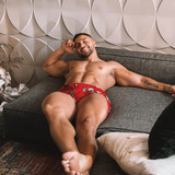 dani 495