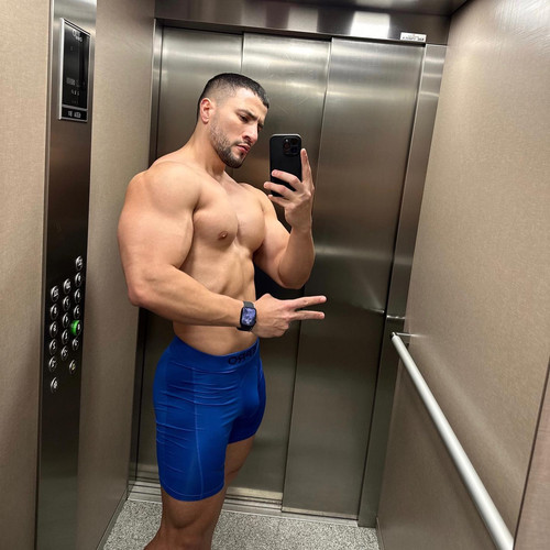 dani 2949