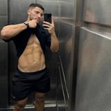 dani 493