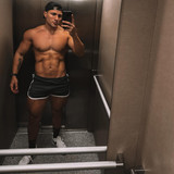 dani 804