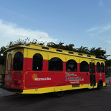dani 2608