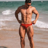 dani 967