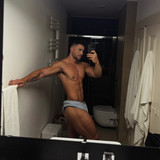 dani 3337