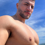 dani 3231