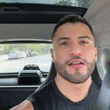 dani 347
