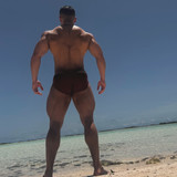 dani 2382