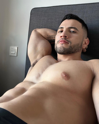 dani 3551