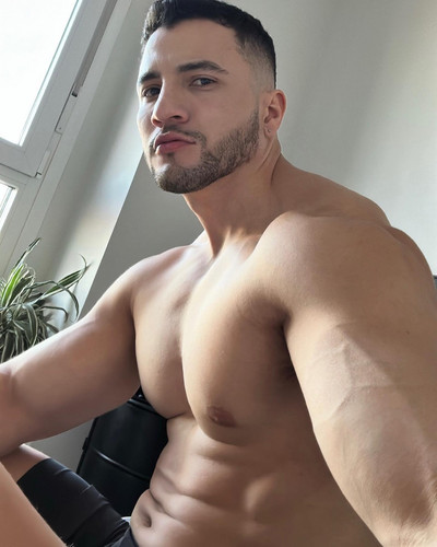dani 2731